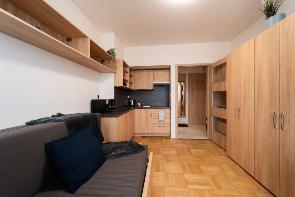 Studio Apartment In Brno-Center المظهر الخارجي الصورة